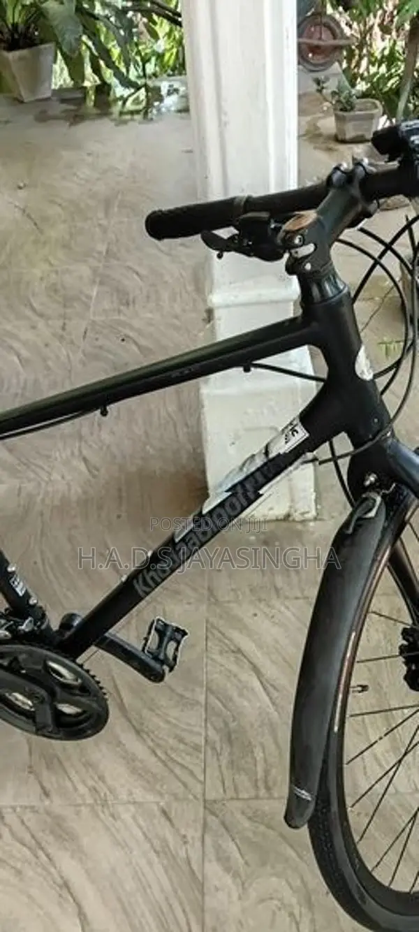Hybrid bicycle