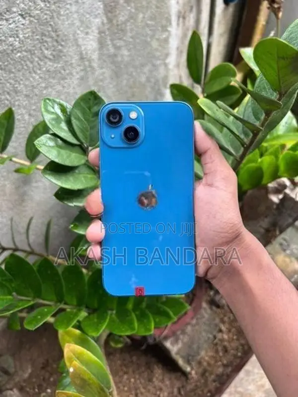 Apple iPhone 13 (Used)