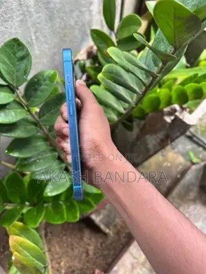 Apple iPhone 13 (Used)