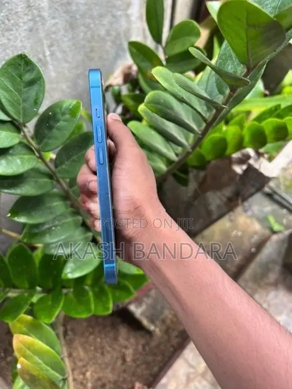 Apple iPhone 13 (Used)