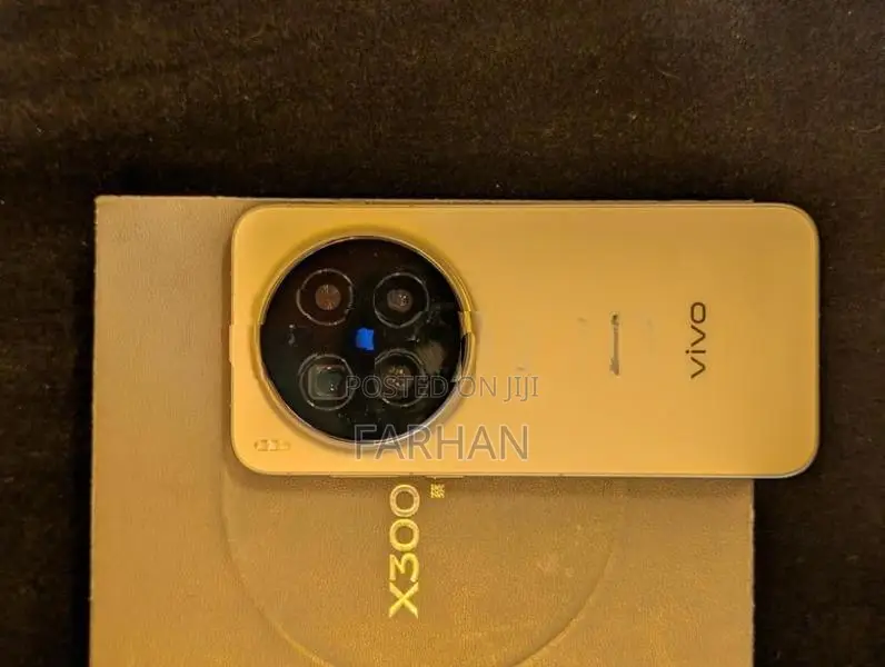 Vivo X300 Pro (Used)