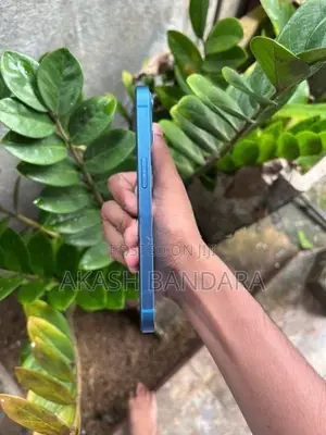 Apple iPhone 13 (Used)