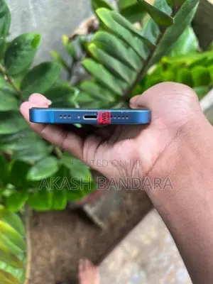 Apple iPhone 13 (Used)