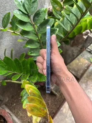 Apple iPhone 13 Pro 13pro (Used)