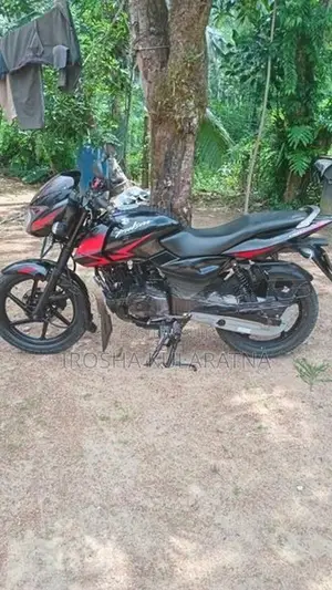 Bajaj Pulsar 150 2010