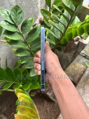 Apple iPhone 13 Pro 13pro (Used)
