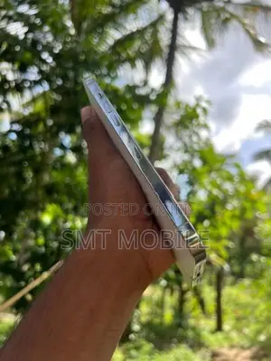 Apple iPhone 12 Pro Max APE (Used)