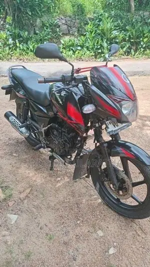 Bajaj Pulsar 150 2010