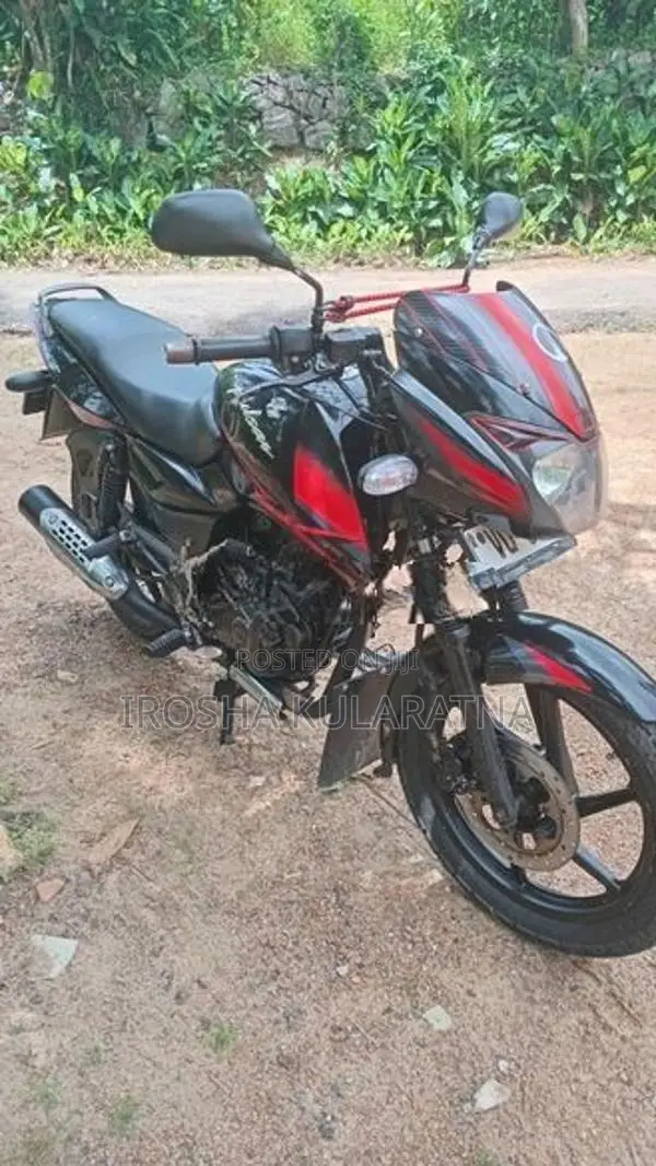 Bajaj Pulsar 150 2010