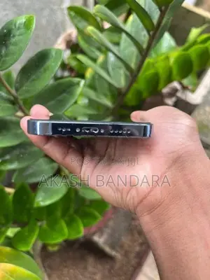 Apple iPhone 13 Pro 13pro (Used)