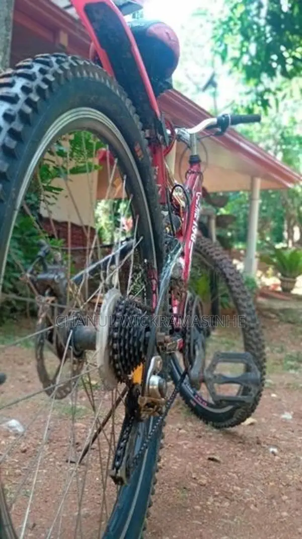 Bicycle