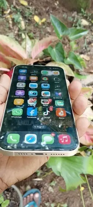 Apple iPhone 14 Plus (Used)