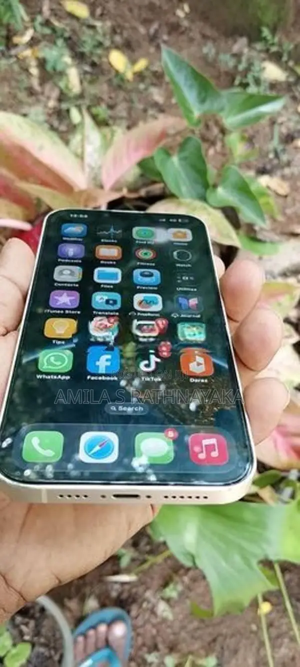 Apple iPhone 14 Plus (Used)