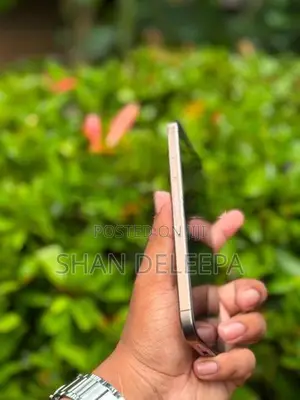 Apple iPhone 16 Pro Max 256 (Used)