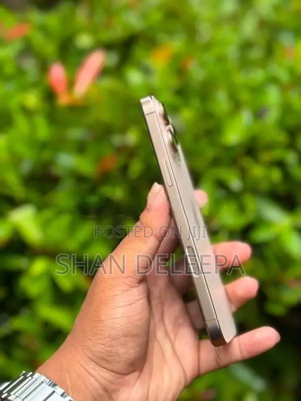 Apple iPhone 16 Pro Max 256 (Used)