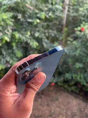 Apple iPhone 12 Pro Max 256GB (Used)