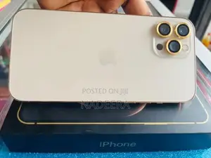 Apple iPhone 12 Pro Max (Used)