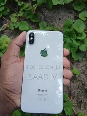 Apple iPhone X (Used)