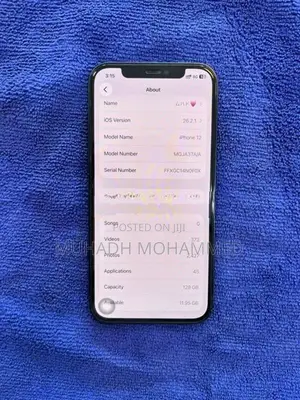 Apple iPhone 12 (Used)