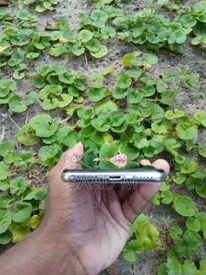 Apple iPhone X (Used)