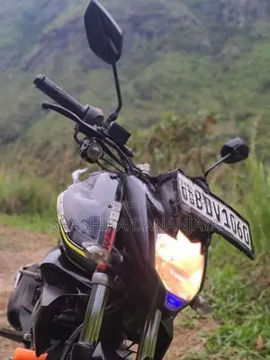 Yamaha FZs V2 2015