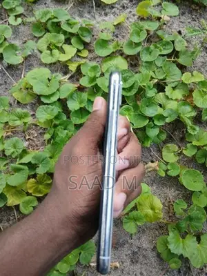 Apple iPhone X (Used)