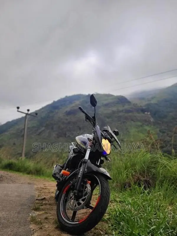 Yamaha FZs V2 2015