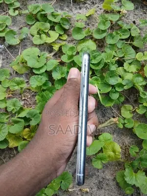 Apple iPhone X (Used)