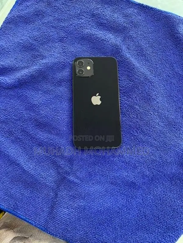 Apple iPhone 12 (Used)