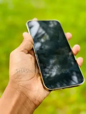 Apple iPhone 13 Pro (Used)