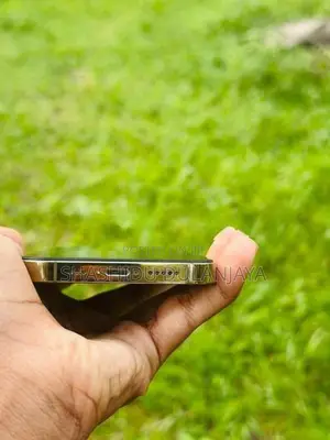 Apple iPhone 13 Pro (Used)