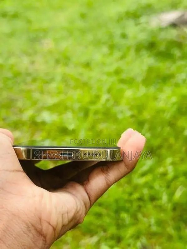 Apple iPhone 13 Pro (Used)