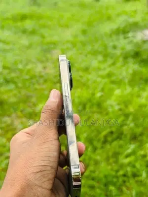 Apple iPhone 13 Pro (Used)