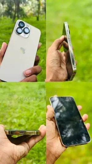 Apple iPhone 13 Pro (Used)