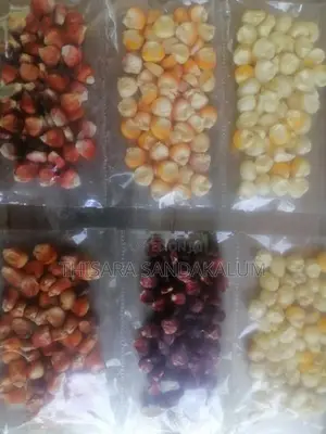 දේශිය ඉරිගු බීජ