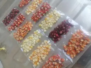 දේශිය ඉරිගු බීජ