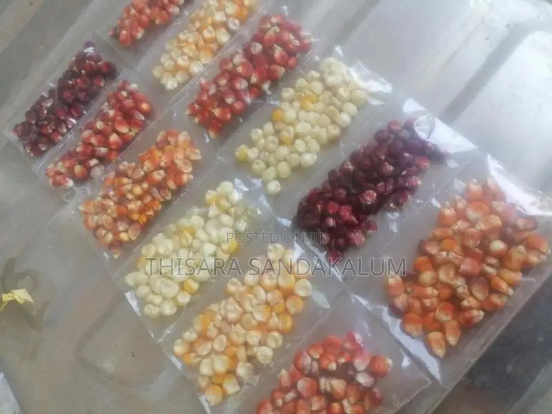 දේශිය ඉරිගු බීජ