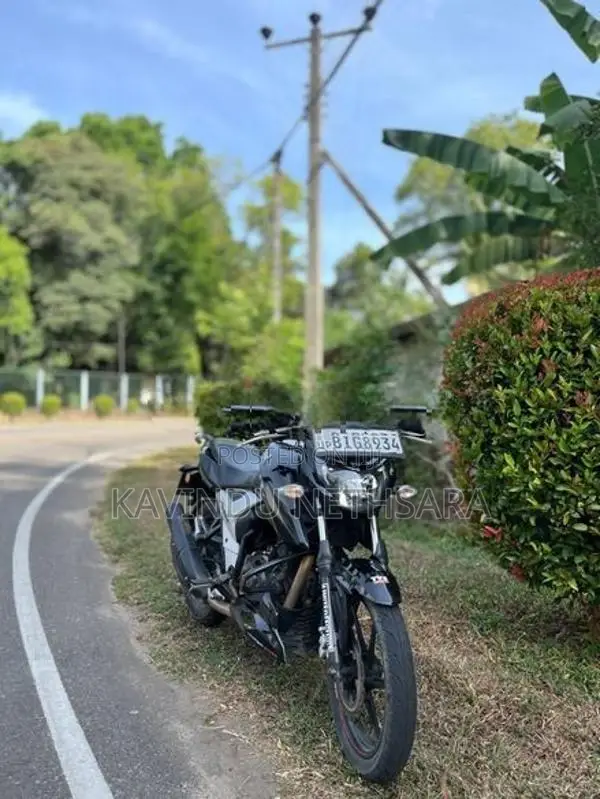 TVS Apache RTR 160 2019