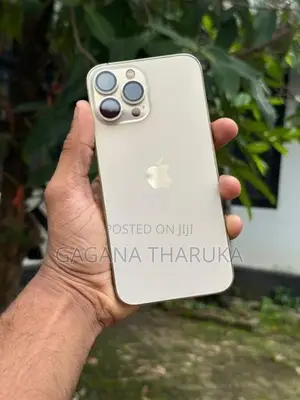 Apple iPhone 13 Pro Max (Used)