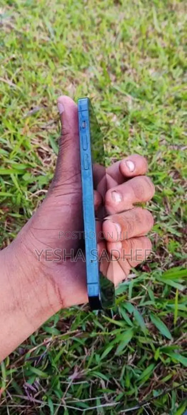 Apple iPhone 12 Pro (Used)