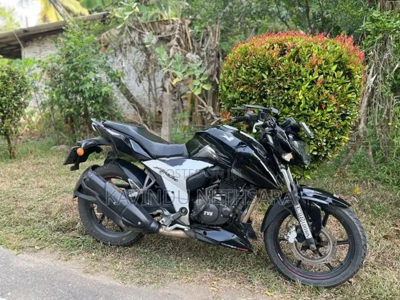 TVS Apache RTR 160 2019