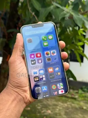 Apple iPhone 13 Pro Max (Used)