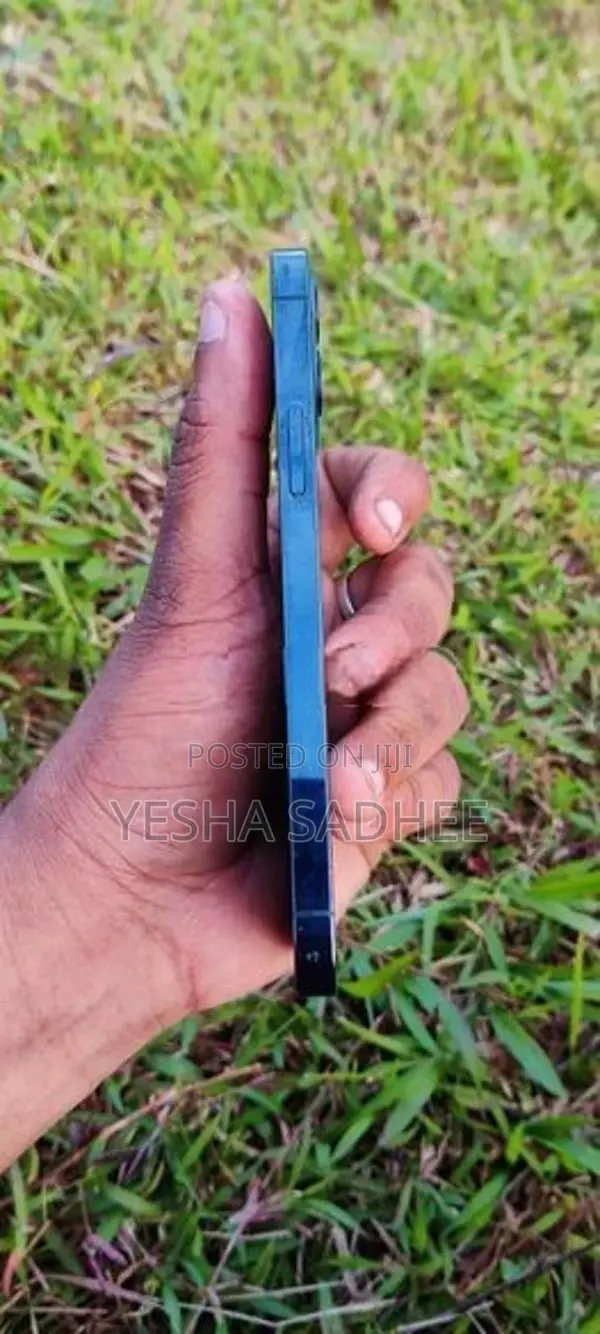 Apple iPhone 12 Pro (Used)