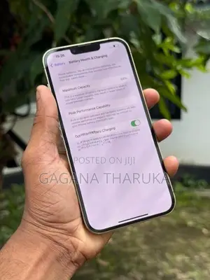 Apple iPhone 13 Pro Max (Used)