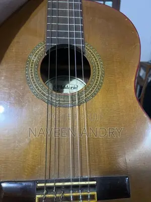 Guitar