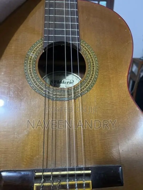 Guitar