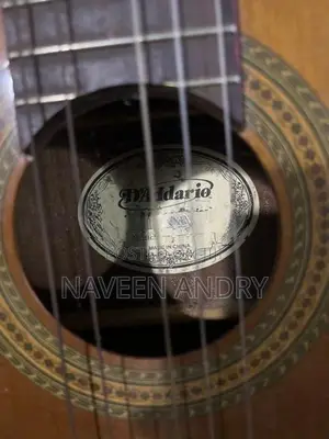 Guitar