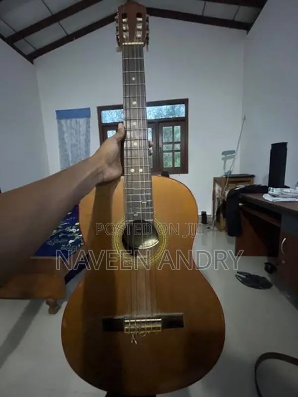 Guitar