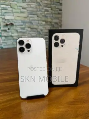 Apple iPhone 13 Pro Max 256GB (Used)
