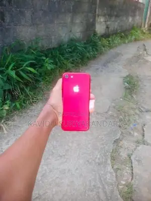 Apple iPhone 7 (Used)
